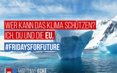 Fridays for Future – wirksamer Klimaschutz durch ein starkes Europa